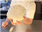 scallop shell for scale
